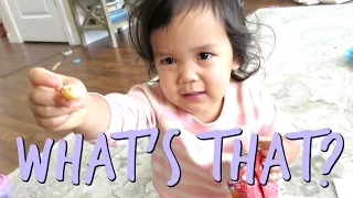 What's That? - October 07, 2016 -  ItsJudysLife Vlogs