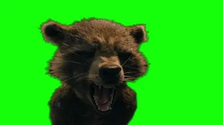 Rocket Raccoon screaming crying green screen