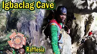 Igbaclag Cave Adventure and Capturing Rafflesia Lobata for the First Time | TravelLar