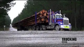 Kenworth C509 8x6 | Truck Test | Wood From the Trees