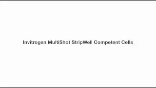Invitrogen MultiShot StripWell product overview