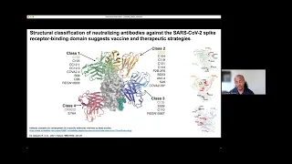 Structural characterization of conserved neutralizing epitopes on the SARS-CoV-2 spike glycoprotein