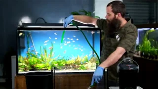 Como limpiar los filtros de un acuario