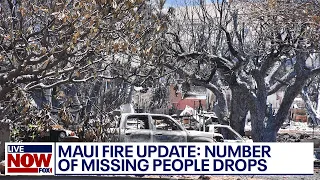 Maui fire update: Number of missing falls to 66, Hawaii Governor says | LiveNOW from FOX
