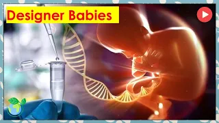 Designer Babies: An Ethical Dilemma - Explained in 7 Minutes