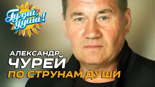 Александр Чурей - По струнам души - Новый хит