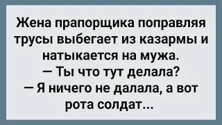 Жена Прапорщика в Казарме с Ротой Солдат Отдыхала! Сборник Свежих Анекдотов! Юмор!