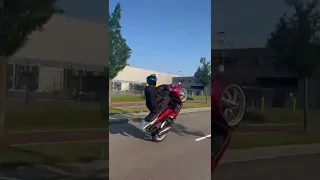 SH350 WHEELIES