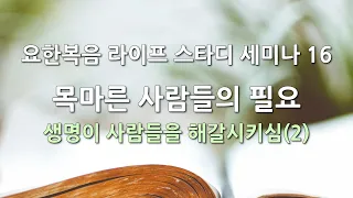 요한복음 라이프 스타디 세미나 16 - 목마른 사람들의 필요 — 생명이 사람들을 해갈시키심(2)