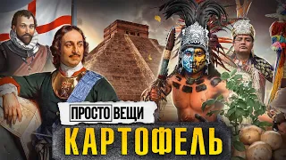 КАРТОФЕЛЬ: История голода / Простовещи / МИНАЕВ