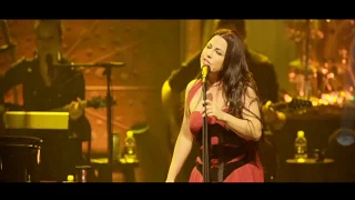 Evanescence  "Imperfection" ( Synthesis Live)