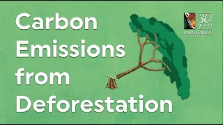 Carbon Emissions From Deforestation