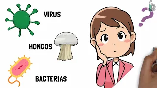 Diferencias entre virus ☣, bacterias 🦠y hongos 🍄 |Video animado y con ejemplos|