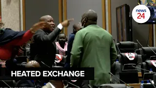 WATCH | Julius Malema to Pan-African Parliament member: 'I'll kill you outside’