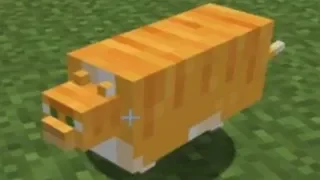 C418 - Cat played over cursed images of cats