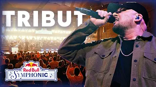 Kool Savas - Tribut | Live | Red Bull Symphonic