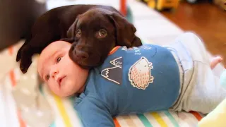 BABY MEETS PUPPY FOR THE FIRST TIME.