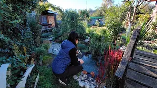 Прогулянка моїм квітником #Сад своїми руками🥀🌻/ A walk in my flower garden #Garden with my own hands