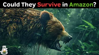 What If Grizzly Bears Were Introduced Into The Amazonian Rainforest?