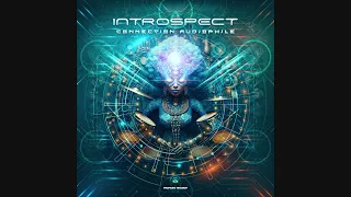 Introspect - Audiophile