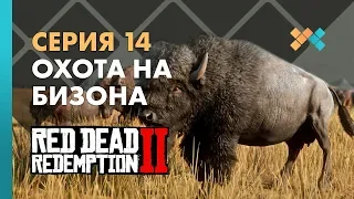 Охота на бизона | Red Dead Redemption 2 Прохождение на русском