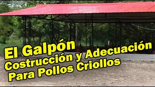 EL GALPÓN CONSTRUCCIÓN Y ADECUACIÓN PARA POLLOS CRIOLLOS