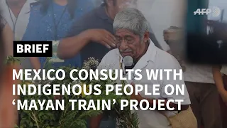 Mexico consults indigenous communities on “Maya Train” project | AFP