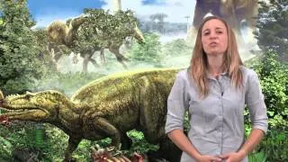 Dinosaur Myth Busted: Dinosaurs and lizards