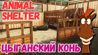 ЗАВЕЛИ ЛОШАДКУ | Animal Shelter #2