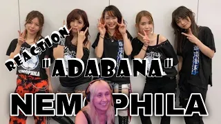 I'm BLOWN away!!!! Official REACTION to: "ADABANA" by Nemophila