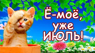 Лето, остановись! Уже июль! Красивое видео с добрым утром! Доброе летнее утро!