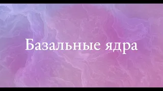 Базальные ядра - анатомия центральной нервной системы (ЦНС)