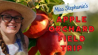 Apple Orchard: Virtual Field Trip for Preschool, Kindergarten, Elementary, & Homeschool Kids