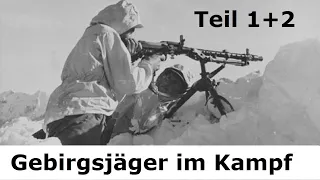 Gebirgsjäger an vielen Fronten /  Erlebnisbericht eines Überlebenden 1943 - 1945 (Teil 1-2)