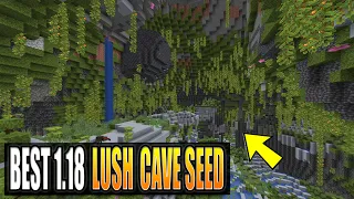 The Best Lush Cave Seed for Minecraft 1.18 - You Need to See this Minecraft Seed