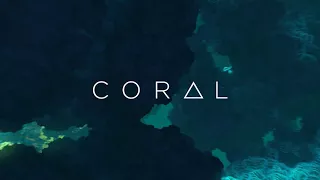 Coral: VR Fractals Trailer (Rift, Vive)