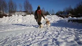 Белые вулканы Хлоя (Кроша)