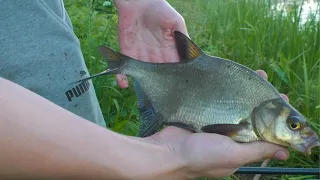 Su plūdine tarp žolių ir netikėtas laimikis