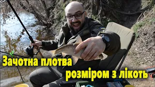 Фідерний сезон 2023 ● Плітка не дає впасти кормушці на дно ● RoMaX Fishing ● Рыбалка ● Отдых