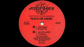 Peace Of Mind - Jacobs Ladder Atmosphere records 1992