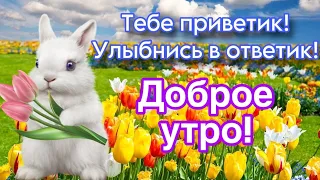 С Добрым Утром и Хорошим Днем! / С Добрым Утром! / Доброе Утро!