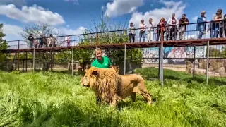 FULL SURPRISE! Oleg Zubkov lets the Donetsk Lions loose and chases!