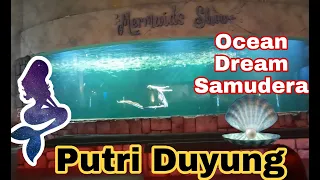 MERMAID SHOW ‼️ Putri Duyung cantik di Ocean Dream Samudera Ancol