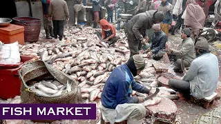 Inside The Fish Market of Lahore | Complete Fish Cutting Process