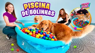 PRIMEIRA PISCINA DE BOLINHA DOS MEUS CACHORROS !- Fran Japa