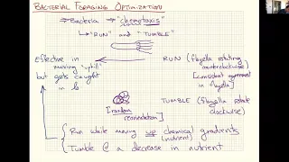 IEE/CSE 598: Lecture 6B (2020-03-16) - Bacterial Foraging Opt./Intro to Particle Swarm Optimization