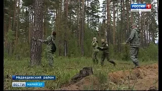 Лесопатологи из 15 регионов России проверили здоровье деревьев в лесах Марий Эл