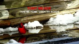 John Denver - Take Me Home, Country Roads (Cover by Tony Meade)