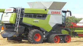 Claas Lexion 8900 - THE WORLD BIGGEST COMBINE - Harvesting Barley in Denmark | BIG FARMING | DK Agri