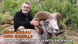 Gobi Argali and gazelle hunting in Mongolia with ProfiHunt